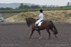 ISIS Dressage Challenge 2008